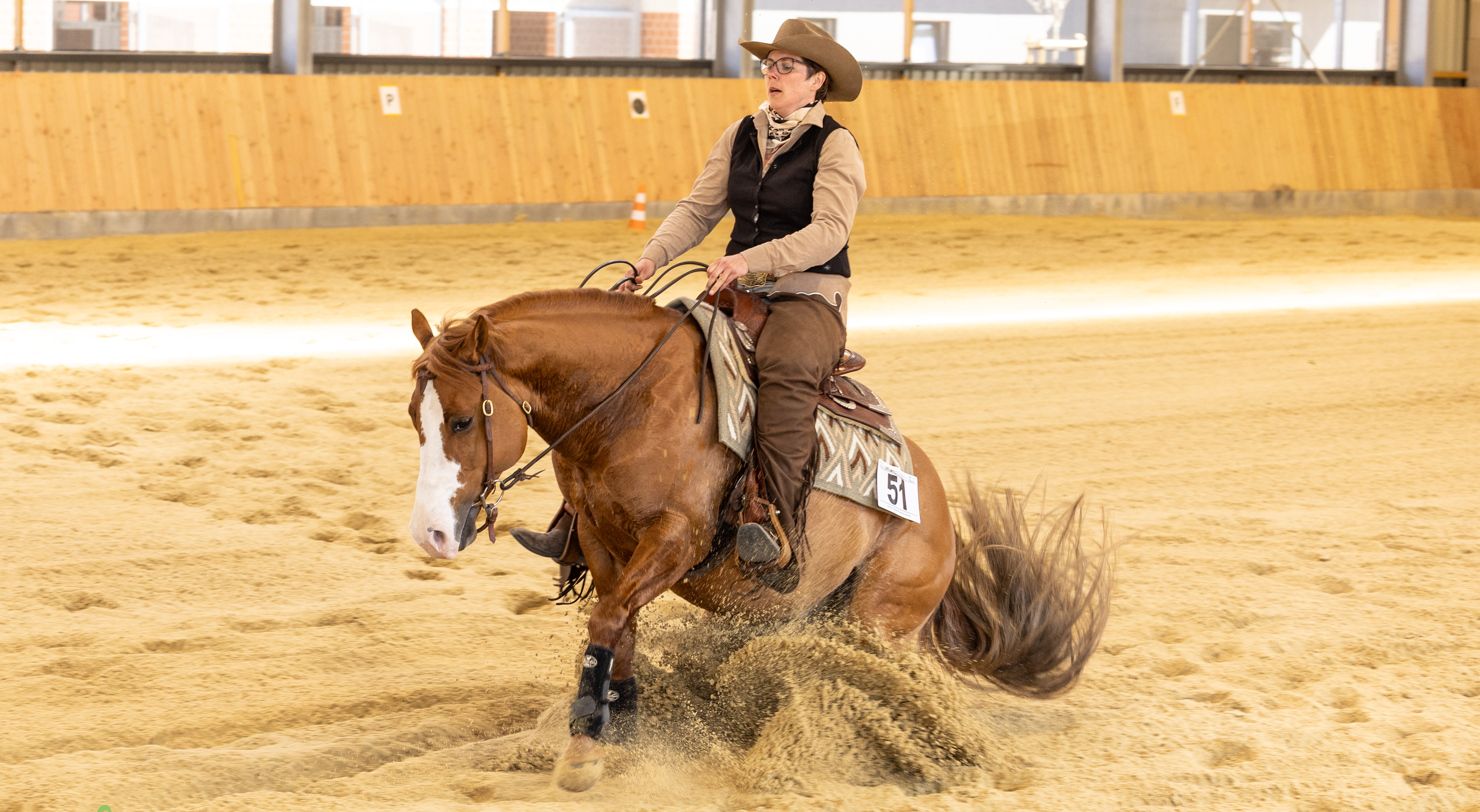 Quarter Horse Hengst Olenas Redjack (Red Dun, Jahrgang 2019) beim vielseitigen Jungpferde-Training – gelassener Ausdruck, athletischer Bewegungsablauf und aufmerksame, konzentrierte Haltung auf dem Reitplatz
